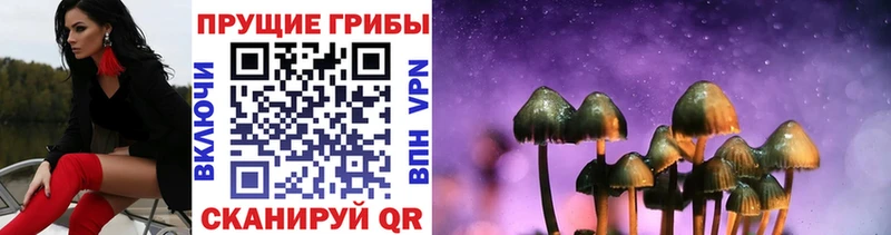 Псилоцибиновые грибы GOLDEN TEACHER Самара