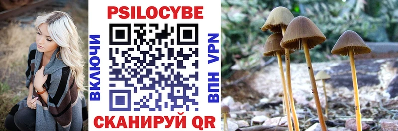 Галлюциногенные грибы Magic Shrooms  Купить закладки  Самара 