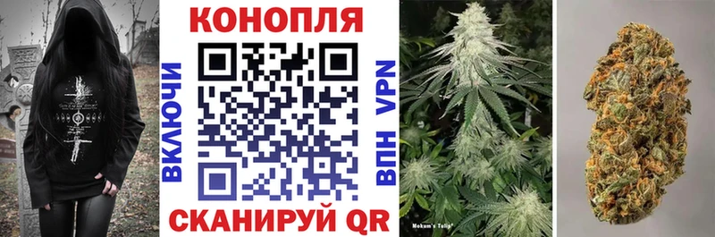 Купить  Самара  Бошки марихуана конопля 